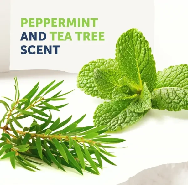 Natural Therapy Tea Tree Oil Skin Wash against Odor, Irritations