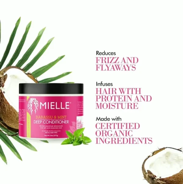 Mint Deep Treatment - Hydrating, 8-oz
