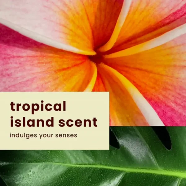 Island Tropics Transparent Feel High Radiance Cream SPF 30, 8oz