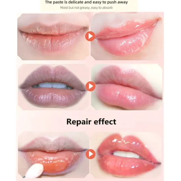 4Pcss Bee Lip Balm Set
